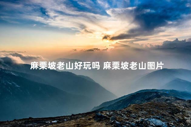 麻栗坡老山好玩吗 麻栗坡老山图片